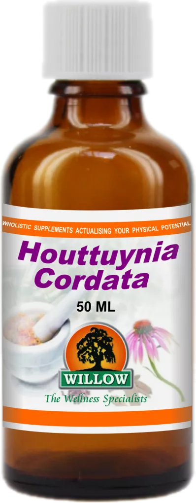WILLOW - Houttuynia Cordata - 50ml | One Life Health