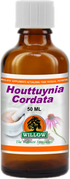 WILLOW - Houttuynia Cordata - 50ml