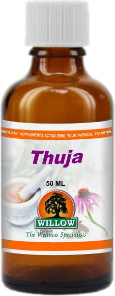 WILLOW - Thuja - 50ml | One Life Health