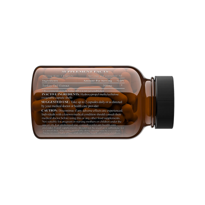 CHARAVA - Turkey Tail 500mg - 60 Veg Capsules | One Life Health