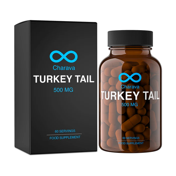 CHARAVA - Turkey Tail 500mg - 60 Veg Capsules | One Life Health