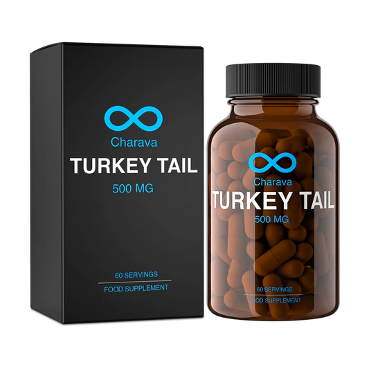 CHARAVA - Turkey Tail 500mg - 60 Veg Capsules | One Life Health