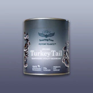 SOARING FREE SUPERFOODS - Turkey Tail Powder, Organic 70g | One Life Health
