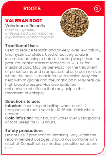 PHARMA GERMANIA - Valerian Root - 100g | One Life Health
