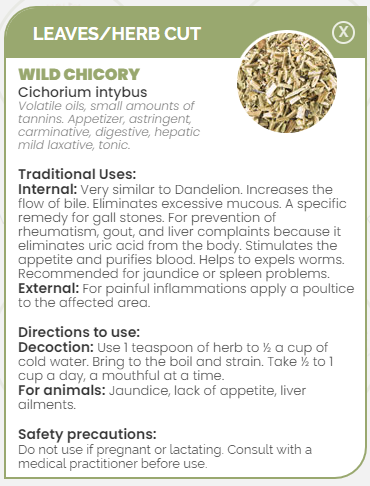 PHARMA GERMANIA - Wild Chicory - 75g | One Life Health