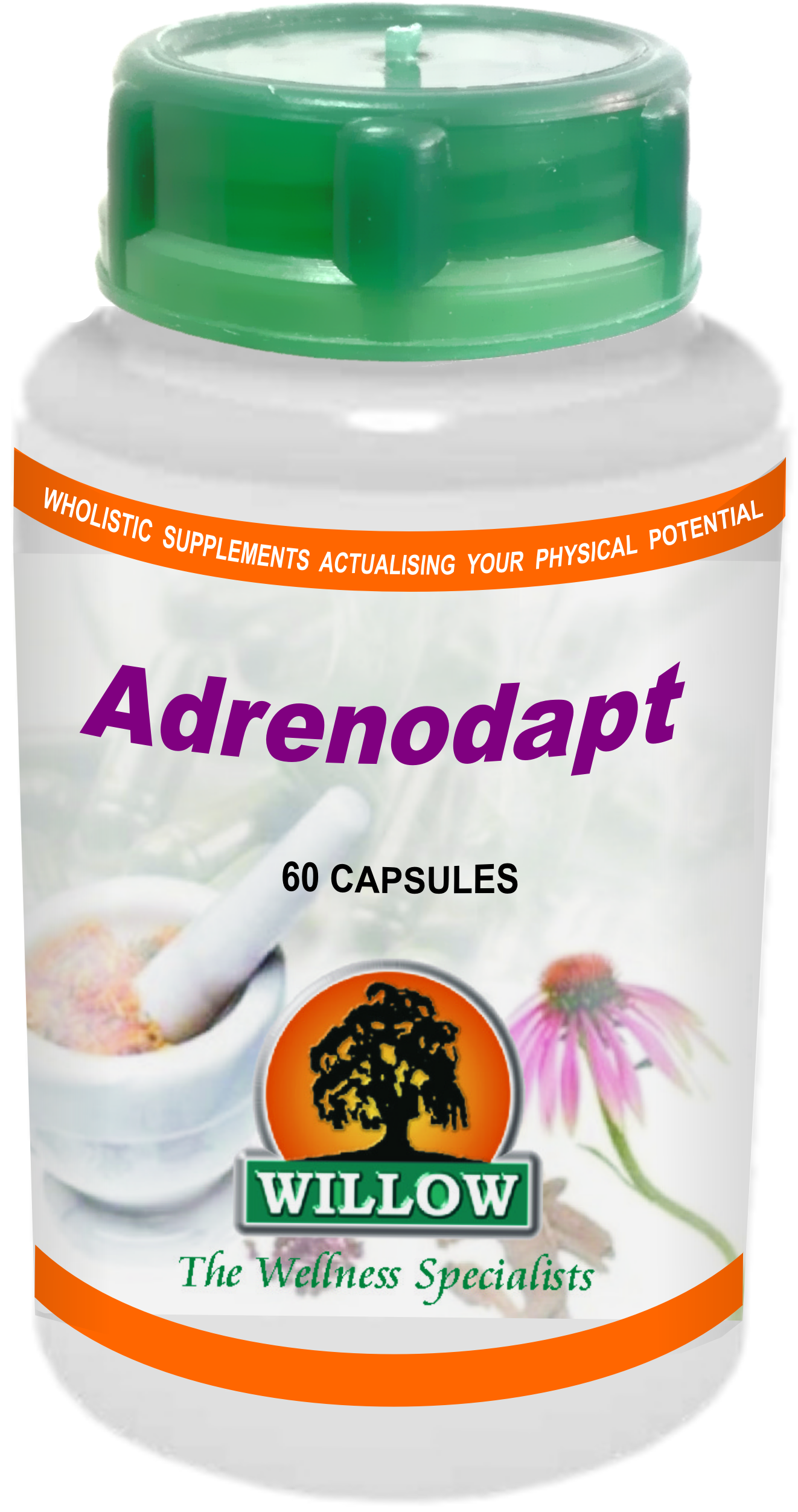 WILLOW - Adrenodapt - 60 Capsules | One Life Health