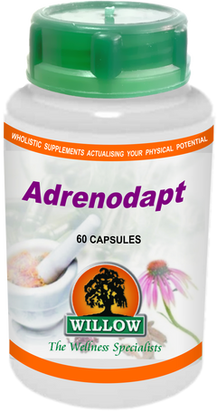 WILLOW - Adrenodapt - 60 Capsules