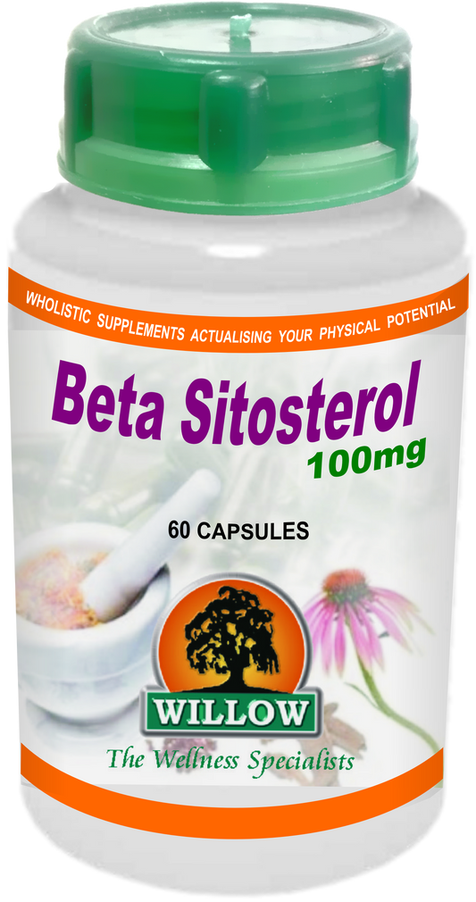 WILLOW - Beta Sitosterol 100mg - 60 Capsules | One Life Health