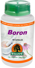 WILLOW - Boron - 100 Capsules