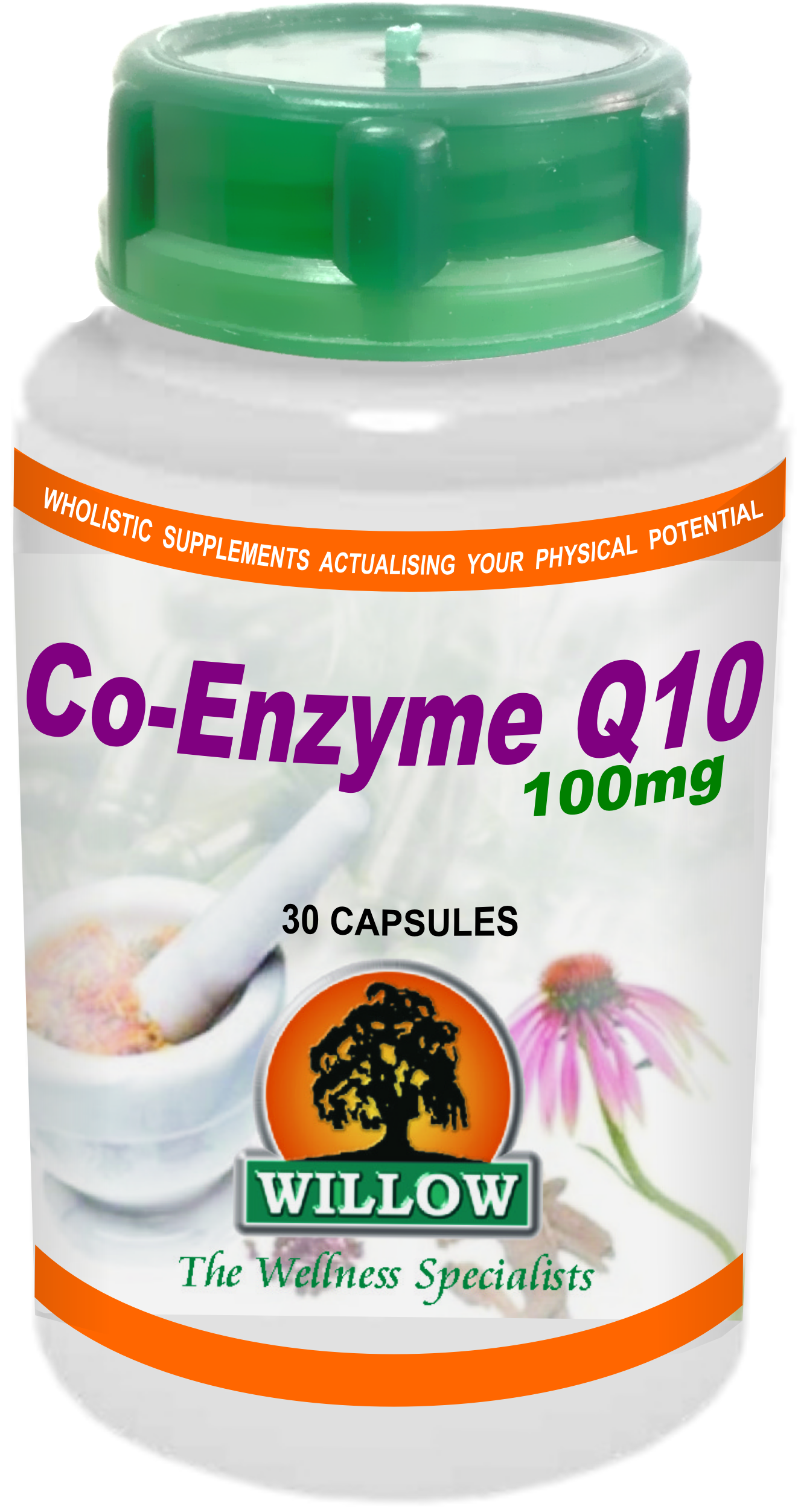 WILLOW - Co-Enzyme Q10 100mg - 30 Capsules | One Life Health