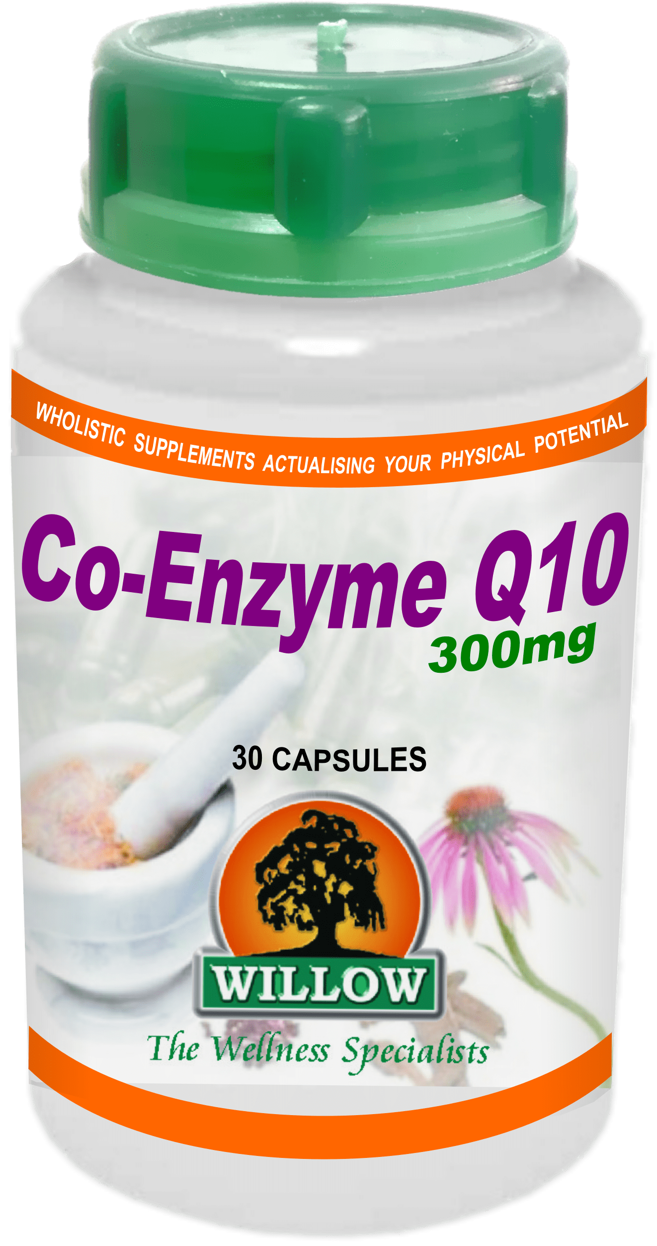 WILLOW - Co-Enzyme Q10 300mg - 30 Capsules | One Life Health