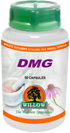 WILLOW - DMG - 50 Capsules