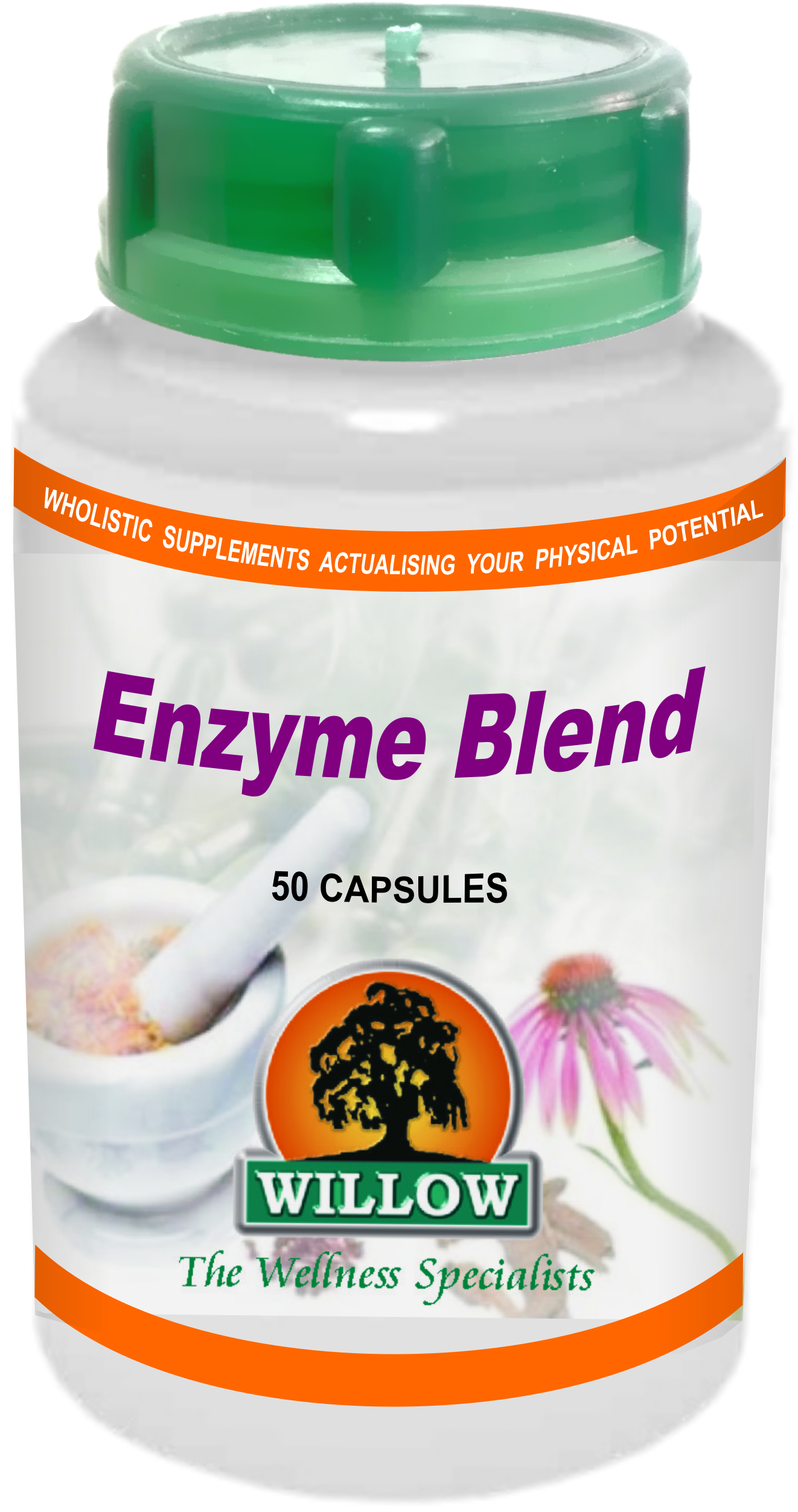 WILLOW - Enzyme Blend - 50 Capsules | One Life Health