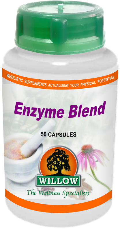 WILLOW - Enzyme Blend - 50 Capsules | One Life Health