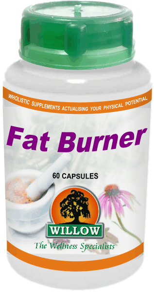 WILLOW - Fat Burner - 60 Capsules | One Life Health