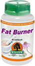 WILLOW - Fat Burner - 60 Capsules