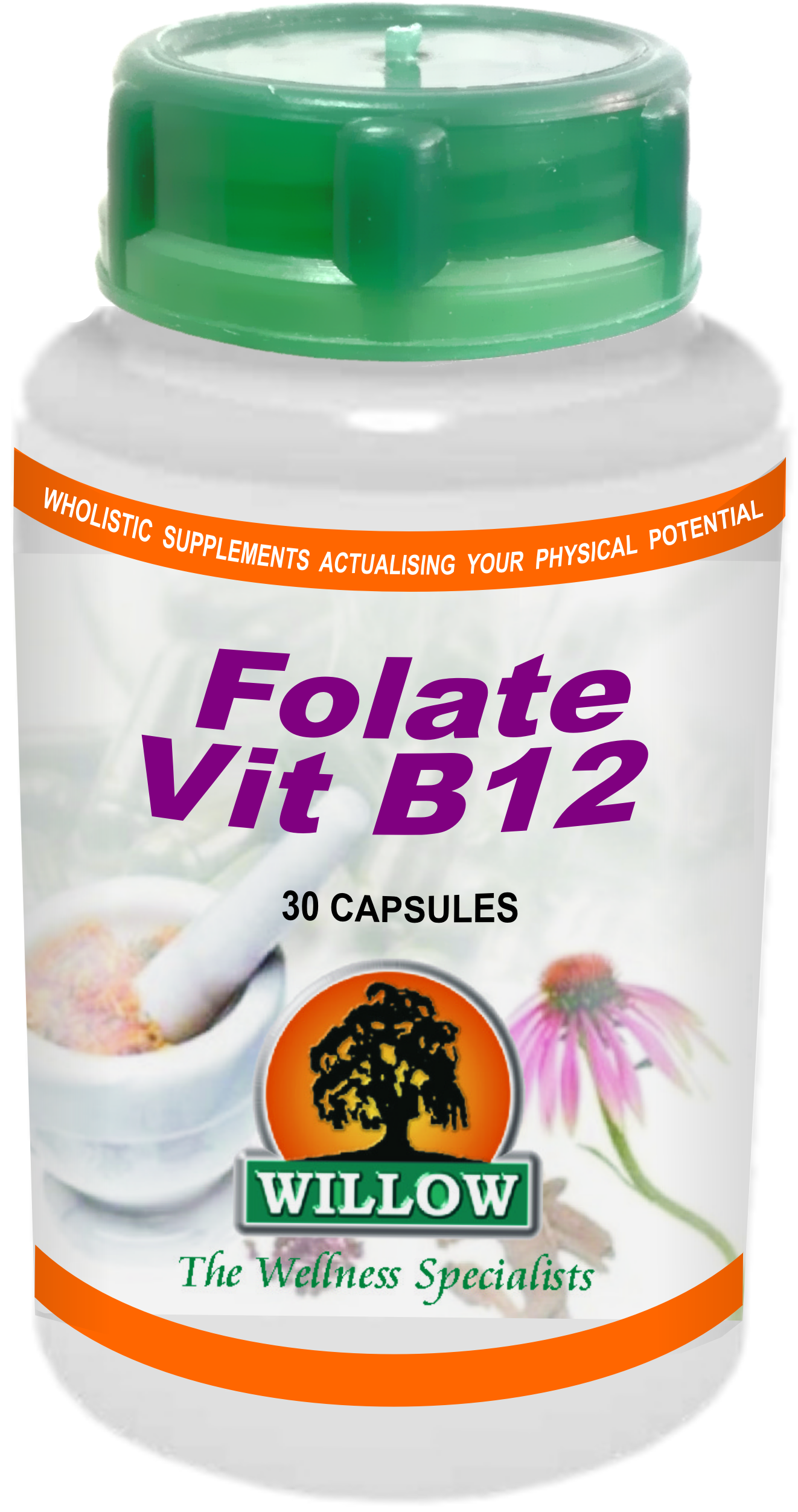 WILLOW - Folate-B12 - 30 Capsules | One Life Health
