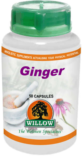 WILLOW - Ginger - 50 Capsules | One Life Health