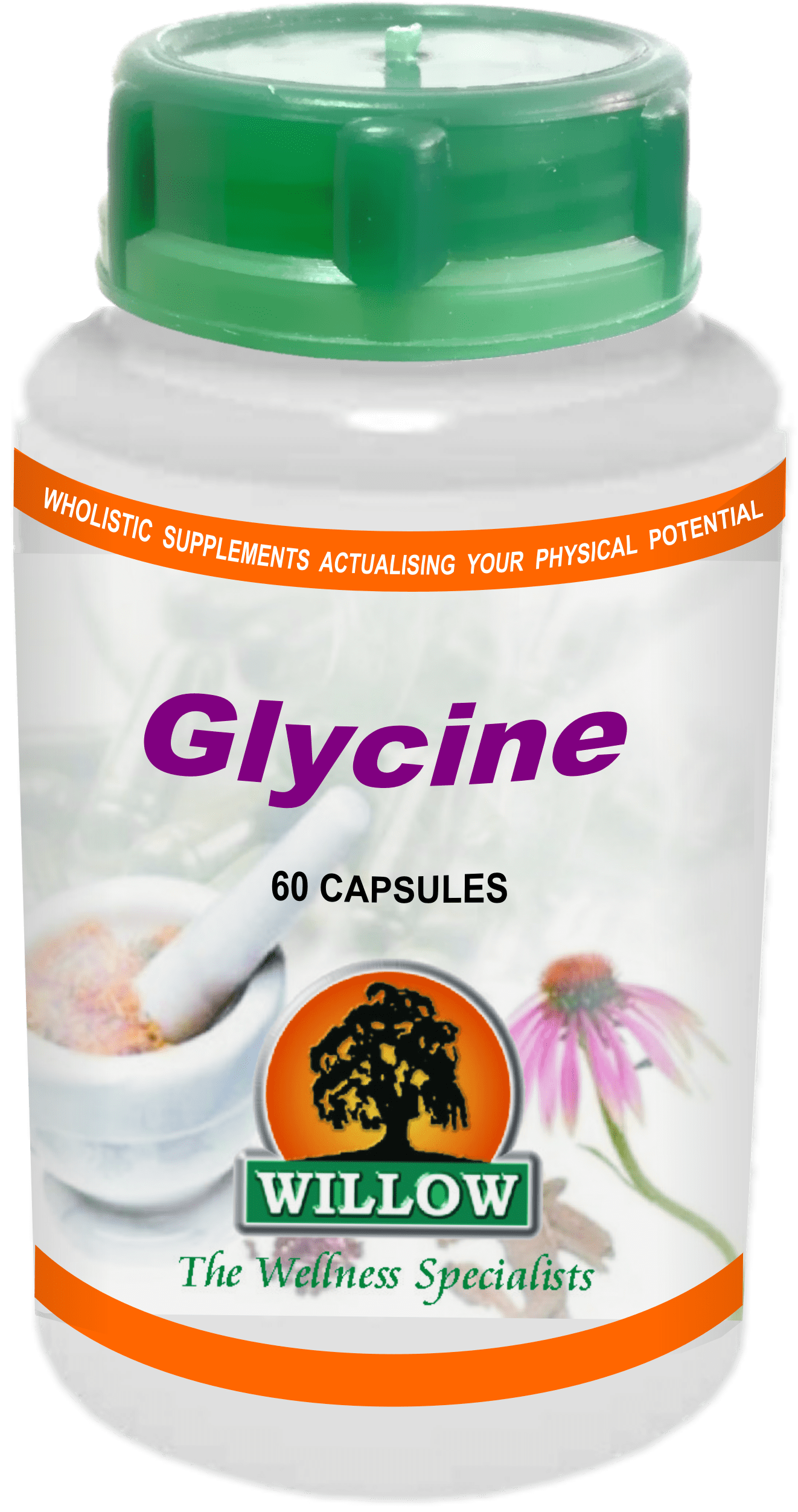 WILLOW - Glycine - 60 Capsules | One Life Health