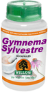 WILLOW - Gymnema Sylvestre - 50 Capsules