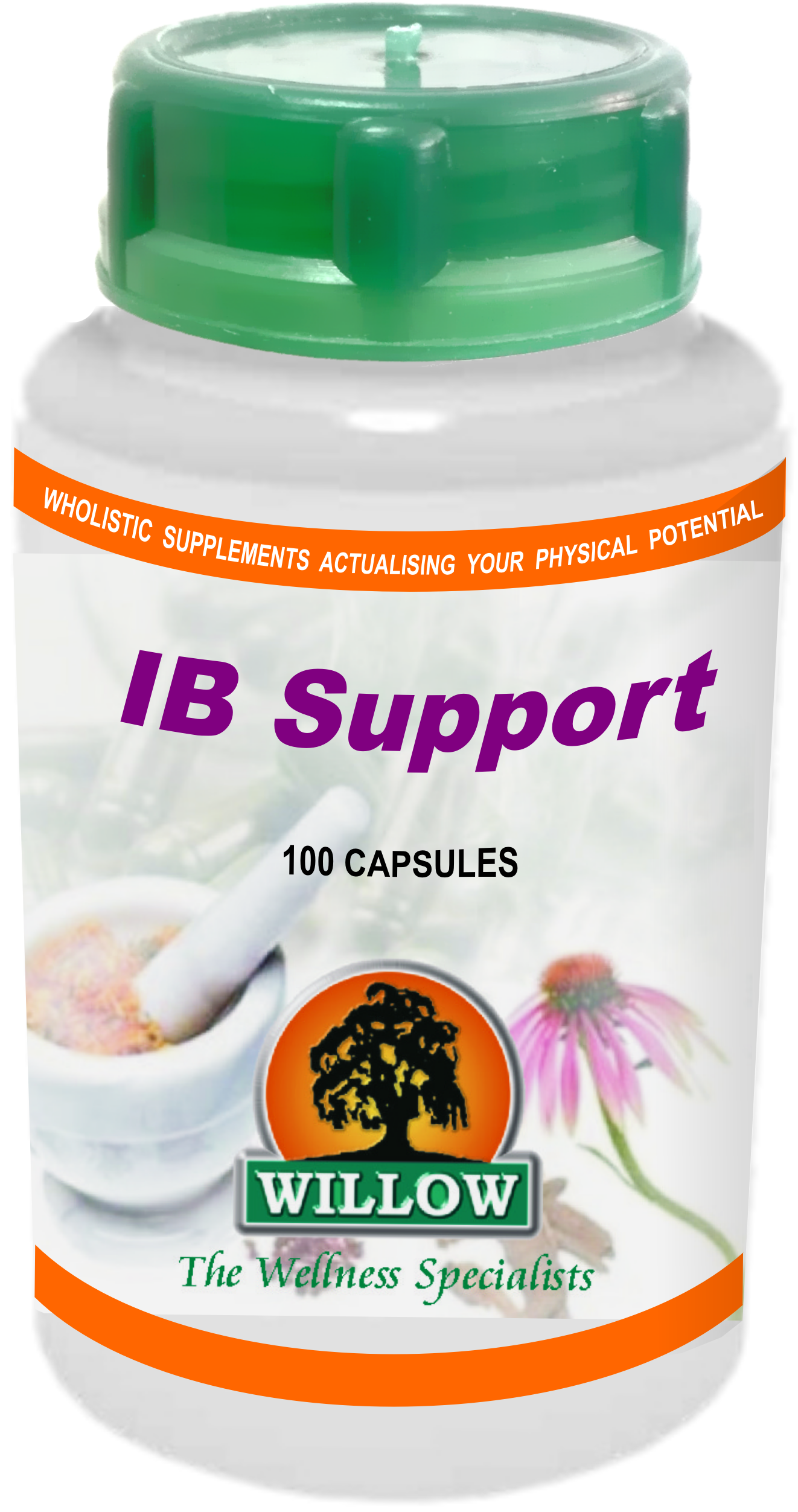 WILLOW - IB Support - 100 Capsules | One Life Health