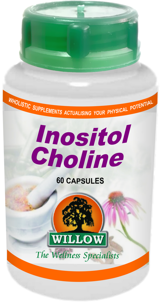 WILLOW - Inositol Choline - 60 Capsules | One Life Health