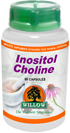 WILLOW - Inositol Choline - 60 Capsules