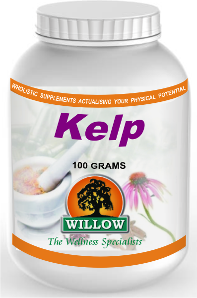 WILLOW - Kelp - 100g | One Life Health