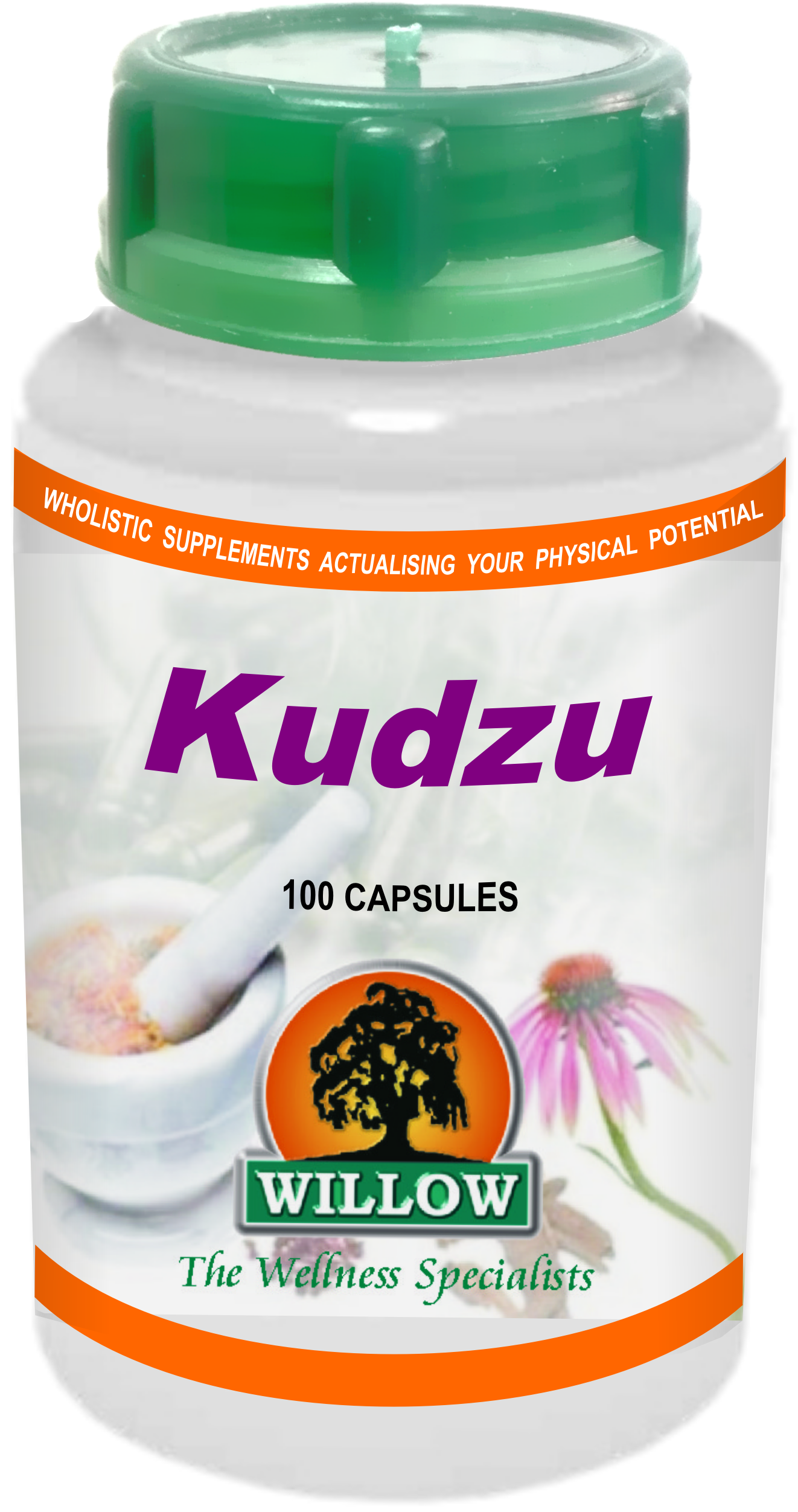 WILLOW - Kudzu - 100 Capsules | One Life Health