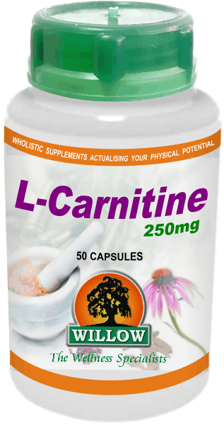 WILLOW - L-Carnitine 250mg - 50 Capsules | One Life Health