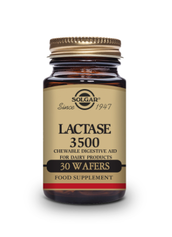 SOLGAR -Lactase 3500 – 30 Wafers | One Life Health