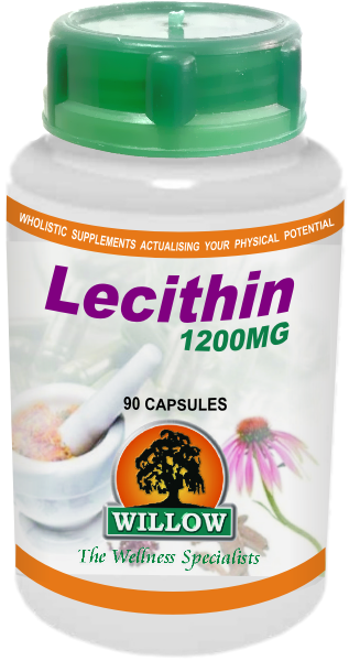 WILLOW - Lecithin - 90 Softgels | One Life Health