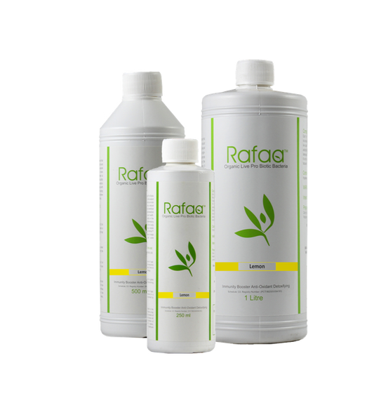 RAFAA - Lemon Rafaa® 500ml | One Life Health