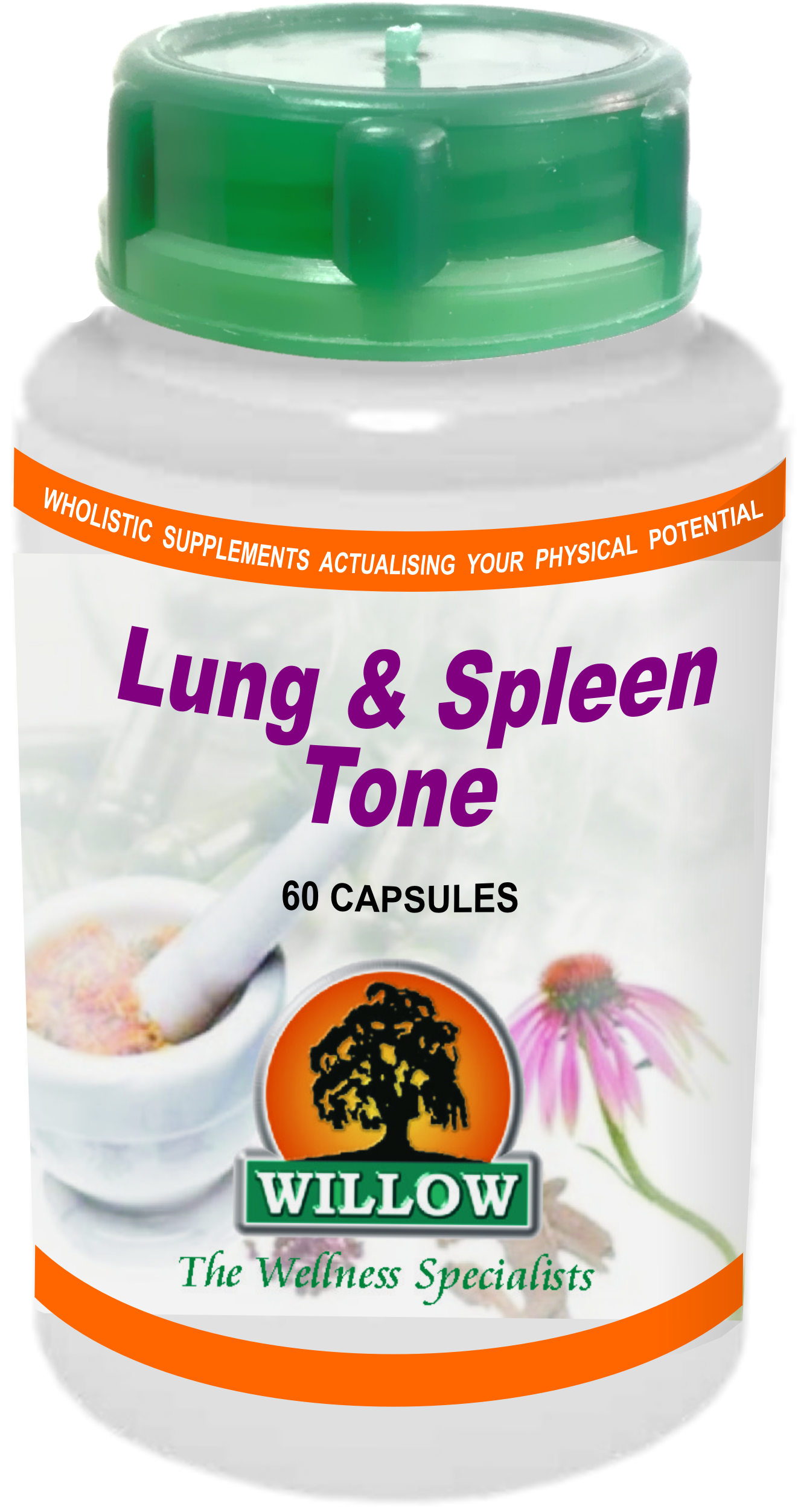 WILLOW - Lung & Spleen Tone - 60 Capsules | One Life Health