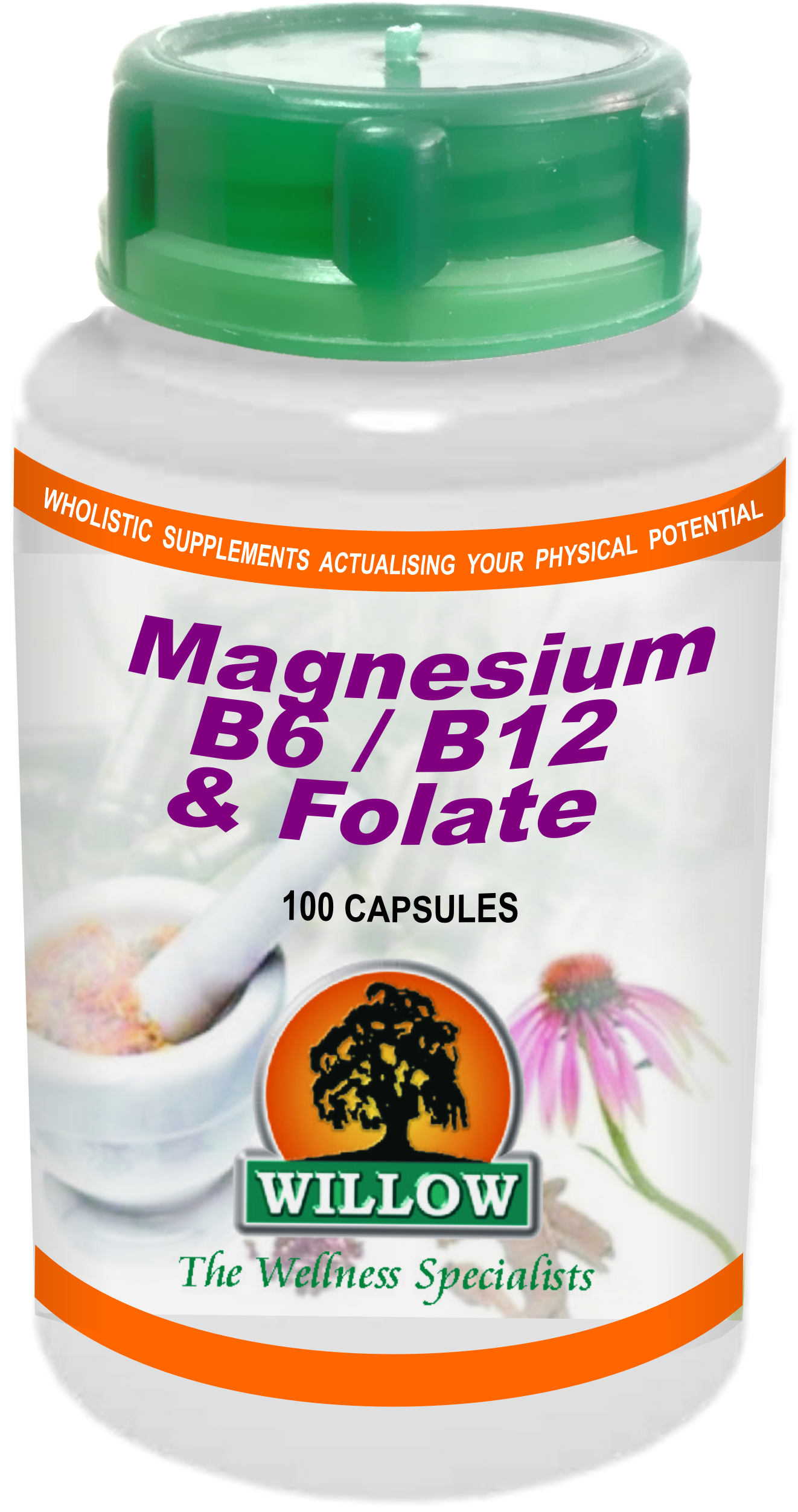 WILLOW - Mag B6 B12 Folate - 100 Capsules | One Life Health