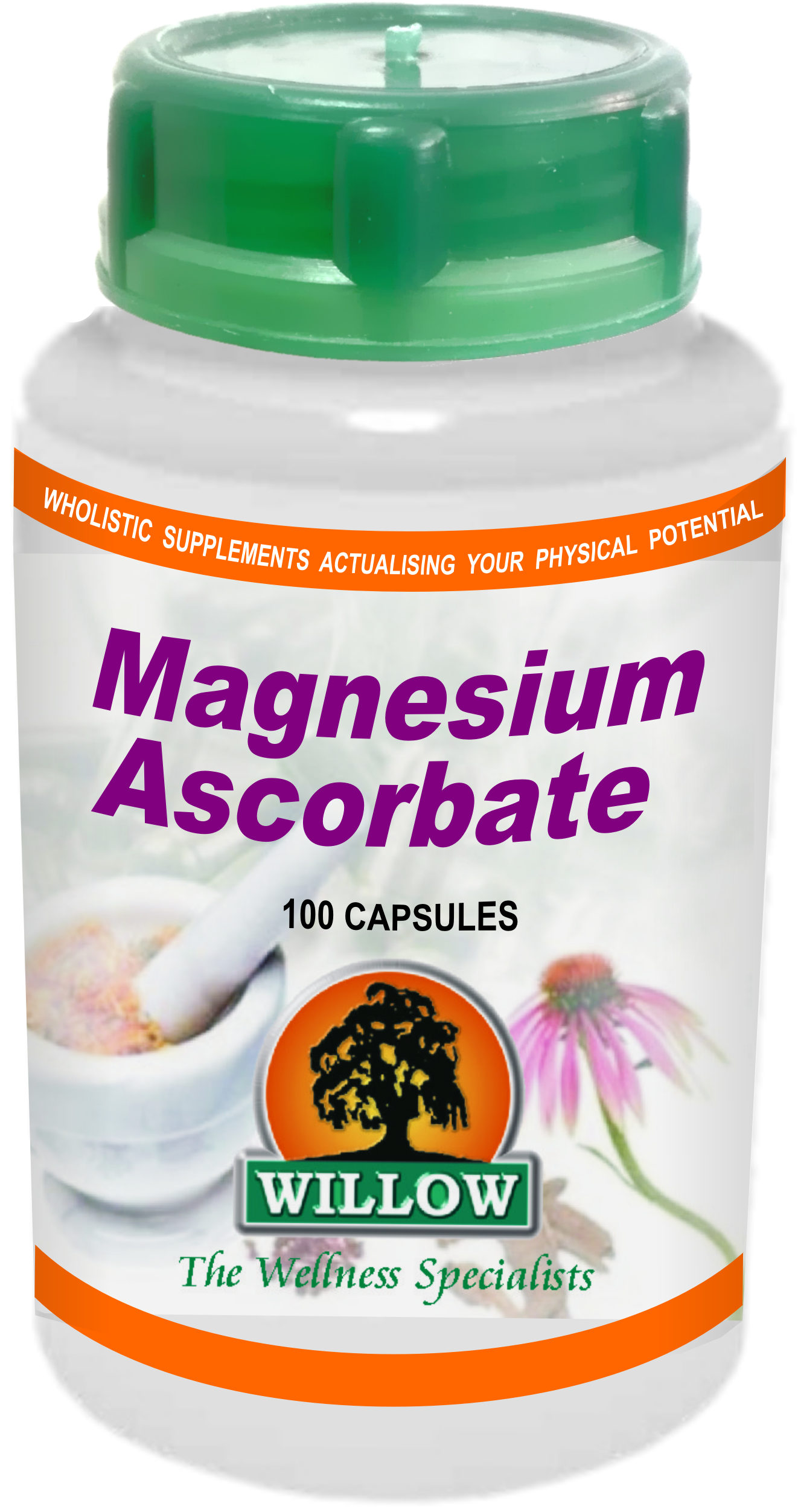 WILLOW - Magnesium Ascorbate - 100 Capsules | One Life Health