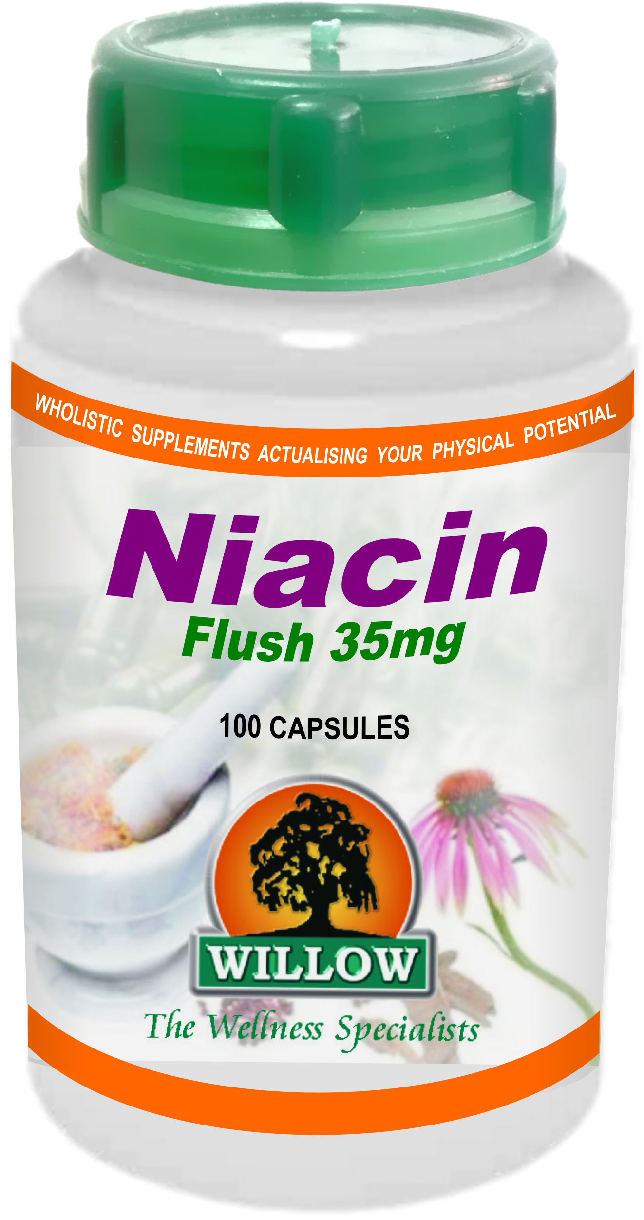 WILLOW - Niacin Flush 35mg - 100 Capsules | One Life Health