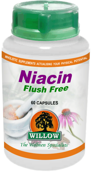 WILLOW - Niacin Flush Free - 60 Capsules | One Life Health