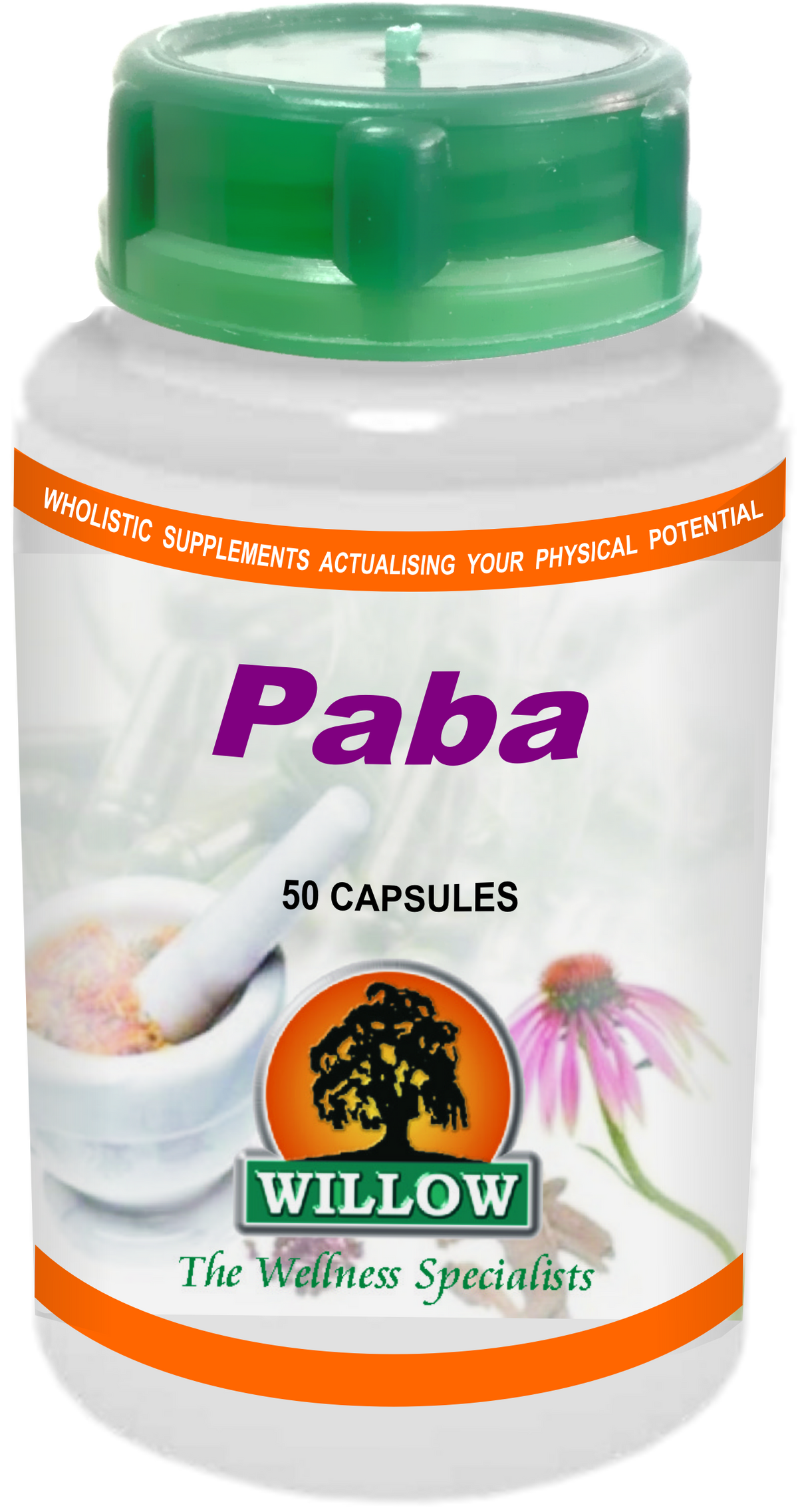 WILLOW - Paba - 50 Capsules | One Life Health