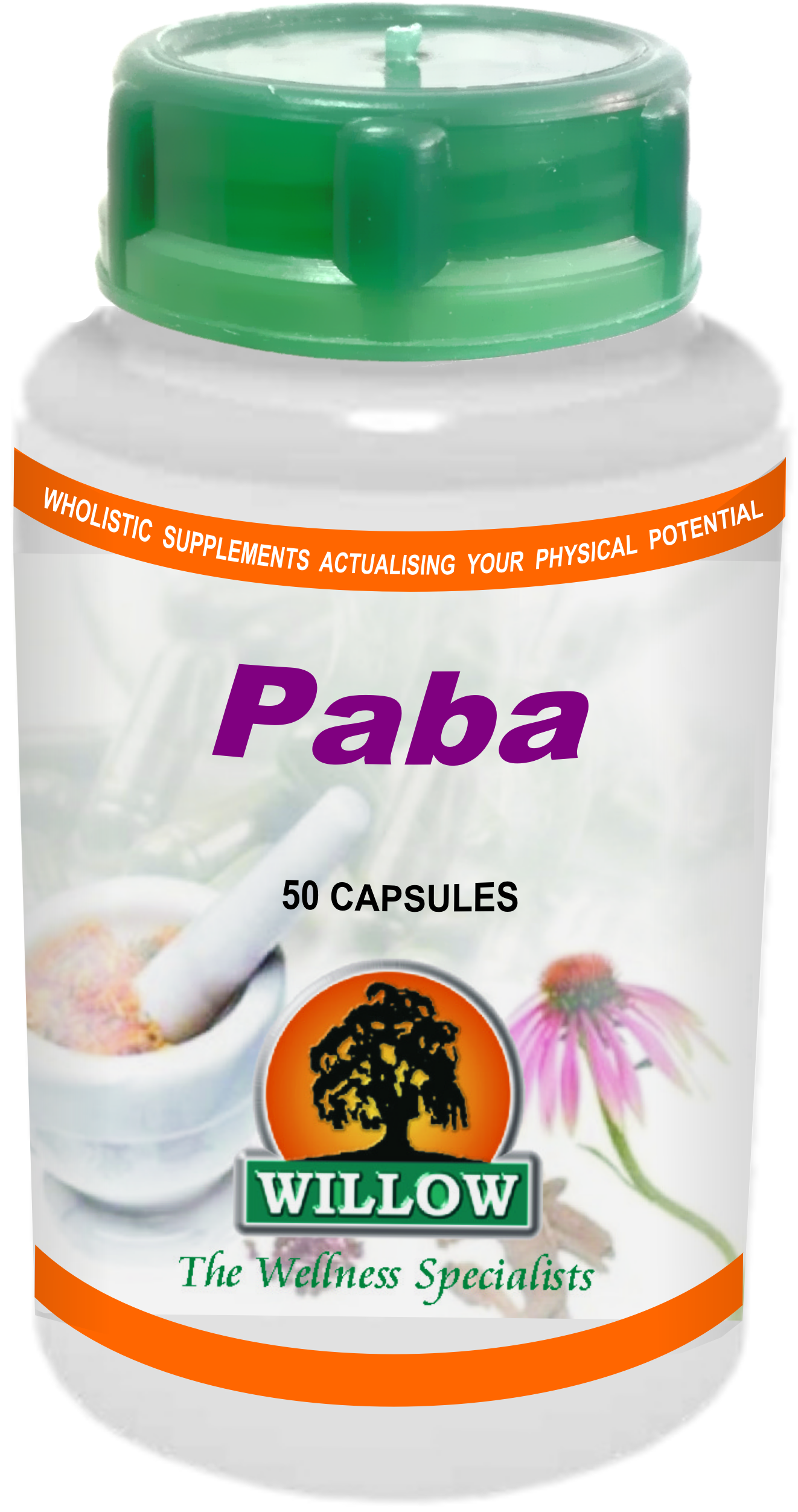 WILLOW - Paba - 50 Capsules | One Life Health