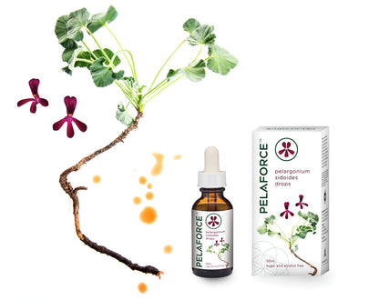 PELAFORCE - Pelaforce Oral Drops 50ml | One Life Health