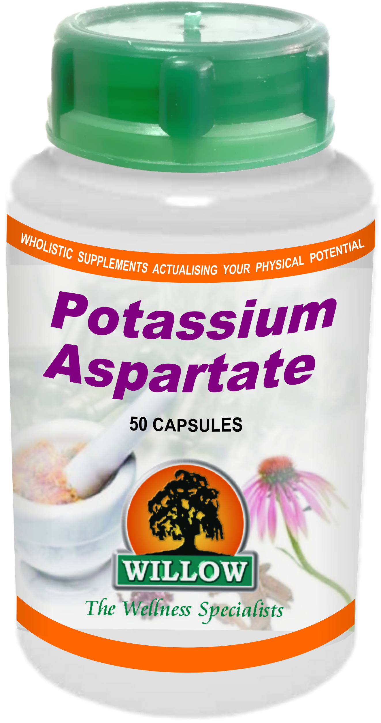 WILLOW - Potassium Aspartate - 50 Capsules | One Life Health