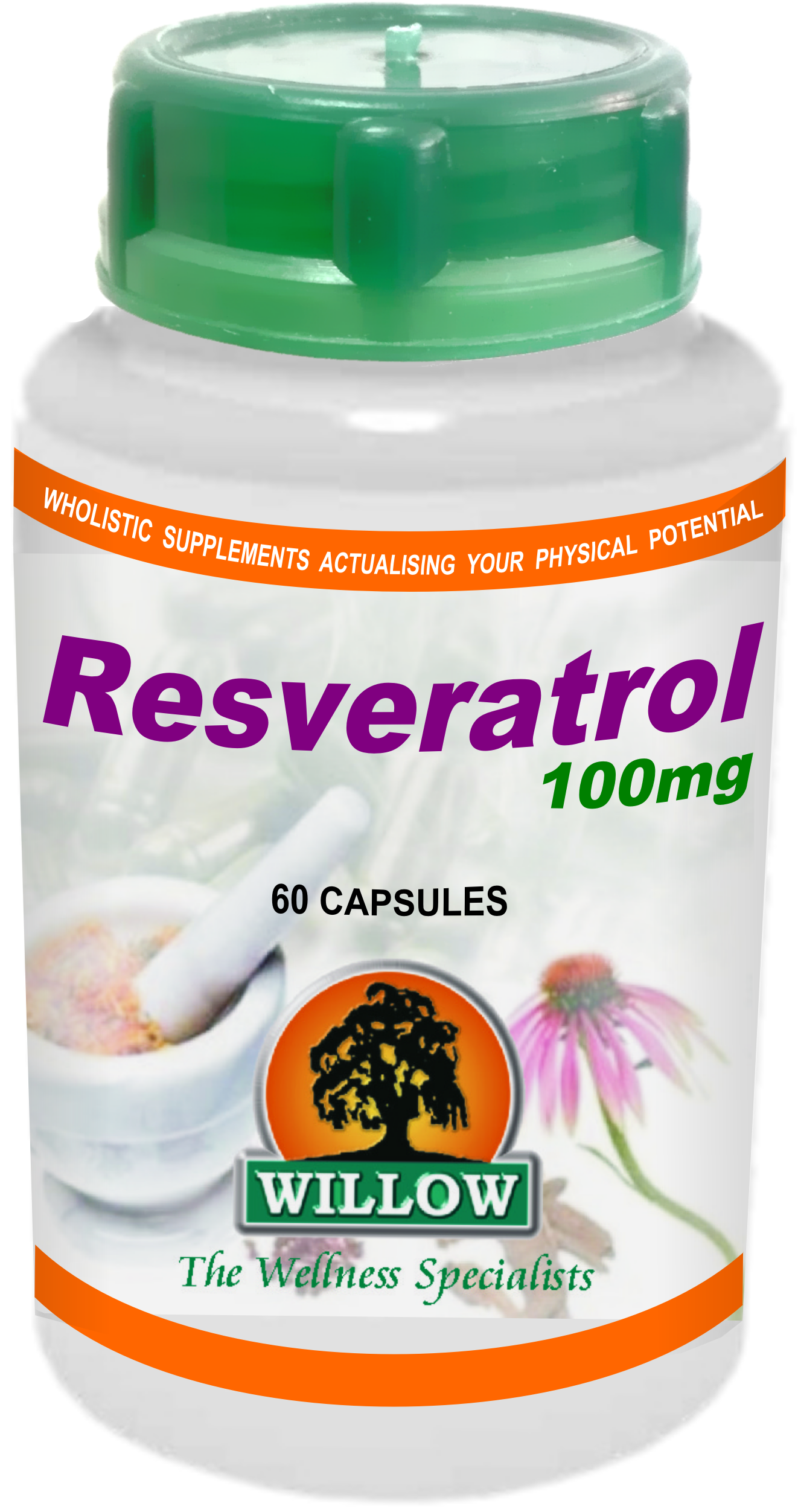 WILLOW - Resveratrol 100mg - 60 Capsules | One Life Health
