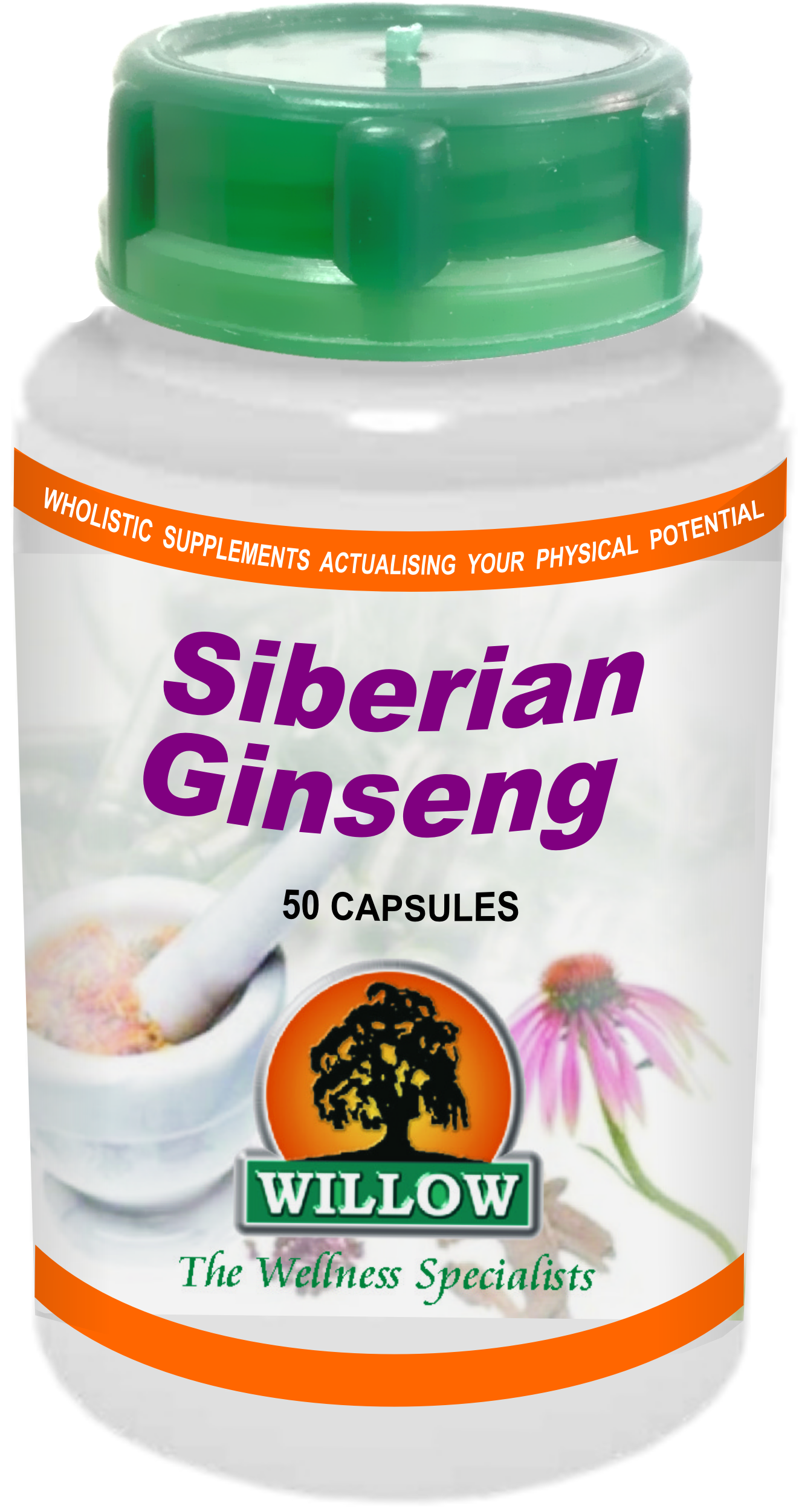WILLOW - Siberian Ginseng - 50 Capsules | One Life Health