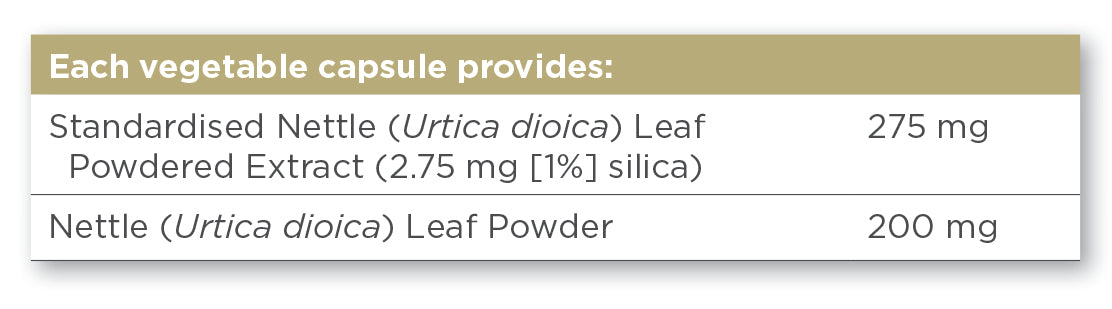 SOLGAR - Nettle Leaf Extract – 60 Vegetable Capsules | One Life Health