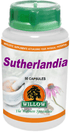 WILLOW - Sutherlandia - 50 Capsules