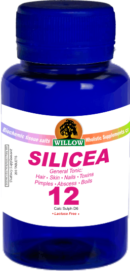 WILLOW - Silicea - Tissue salt #12 - 200 Tablets | One Life Health