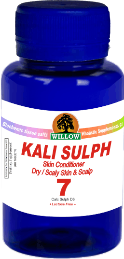 WILLOW - Kali Sulph - Tissue salt #7 - 200 Tablets | One Life Health