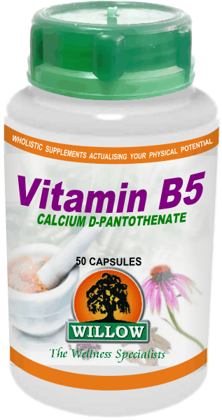 WILLOW - Vitamin B5 - 50 Capsules | One Life Health
