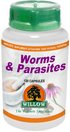 WILLOW - Worms & Parasites - 120 Capsules